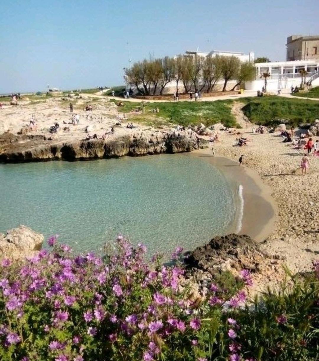 Bed and Breakfast Da Luigi Locazioni Brevi Turistiche Monopoli Exteriér fotografie
